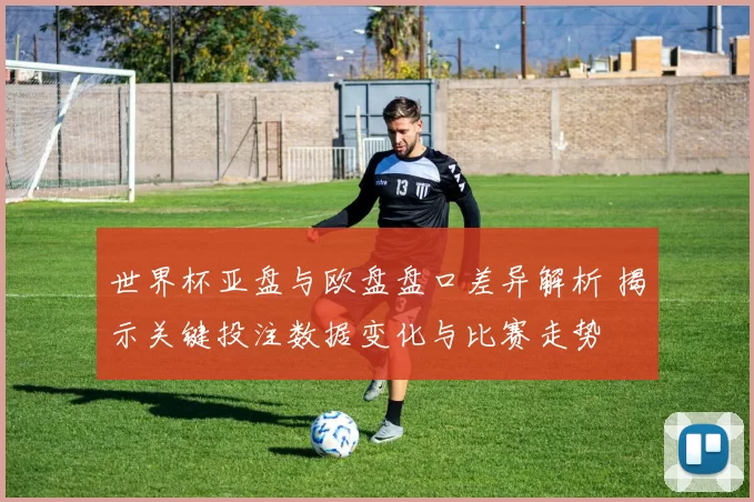 世界杯亚盘与欧盘盘口差异解析 揭示关键投注数据变化与比赛走势