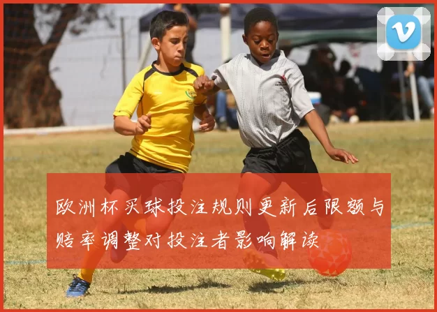 欧洲杯买球投注规则更新后限额与赔率调整对投注者影响解读